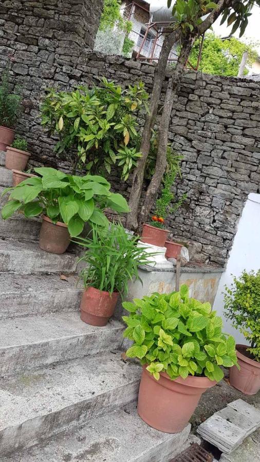 Riva Guest House Gjirokastër المظهر الخارجي الصورة