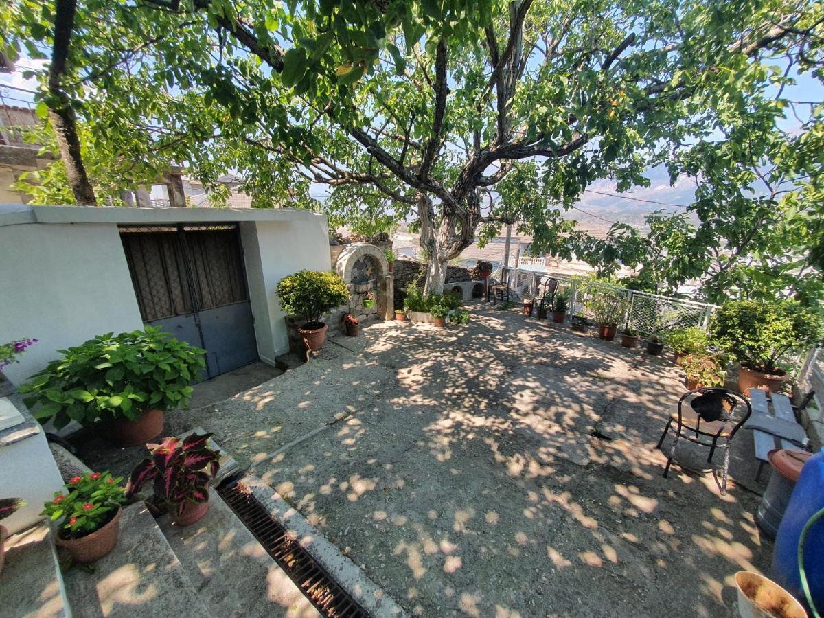 Riva Guest House Gjirokastër المظهر الخارجي الصورة